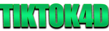 Logo Tiktok4D